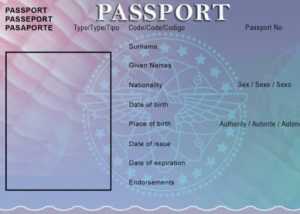 Free Printable Blank Sample Passport Photo Template